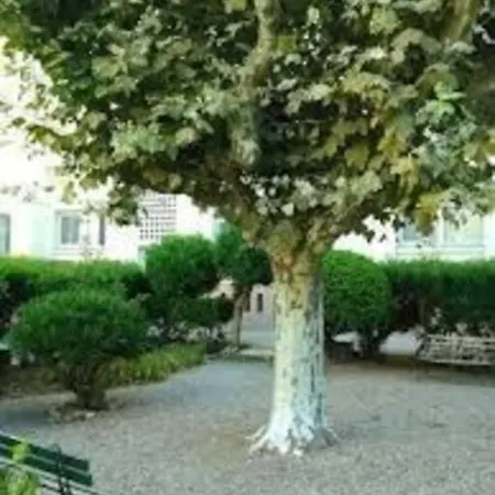 Plein Centre-ville Apartment Saint-Raphael (Var)